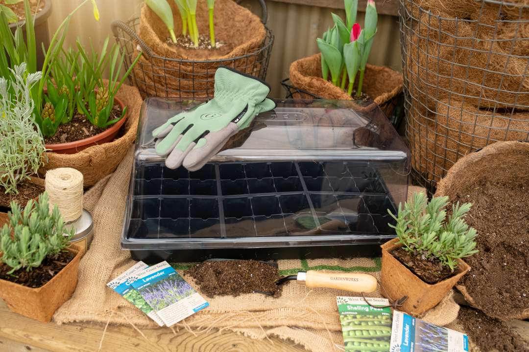 Seed Starting Supplies Gardenworks